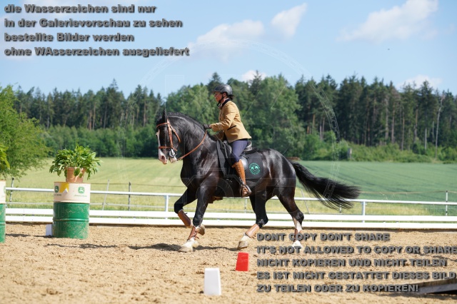 s_K3F05695.JPG